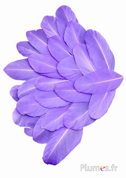 Blütenblätter aus Federn - 6-8 x 3-4 cm- flieder